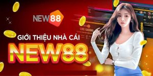 New88: Sức Hút Đặc Biệt Của Nhà Cái Hàng Đầu Trong Năm 2025